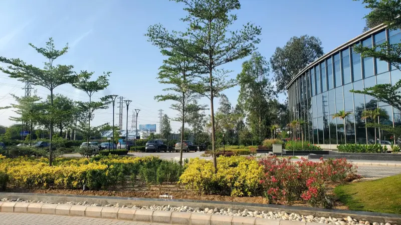 Signature Global Daxin Vistas