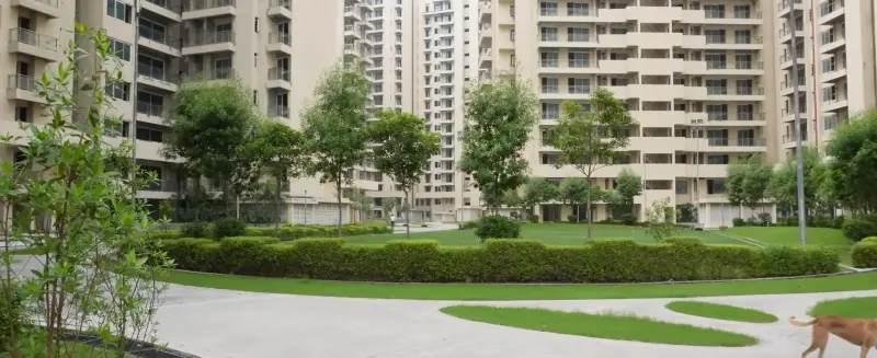 Ambience Creacions Sector 22, Gurgaon