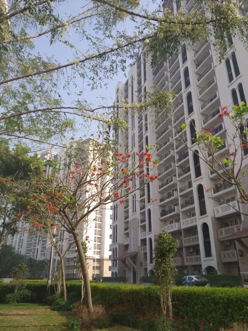 DLF New Town Heights 2, Sector 86