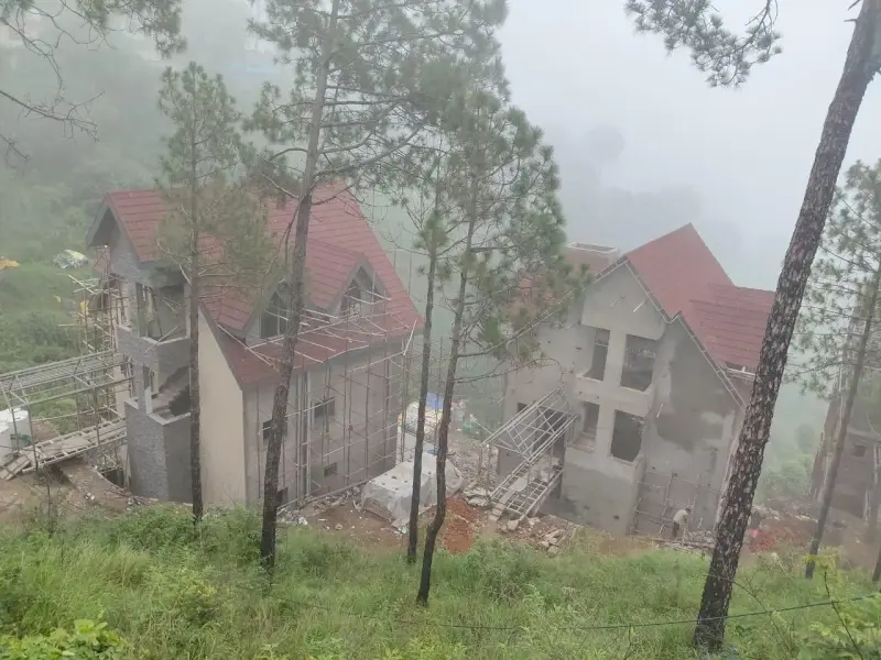 Dochi, Kasauli, H P