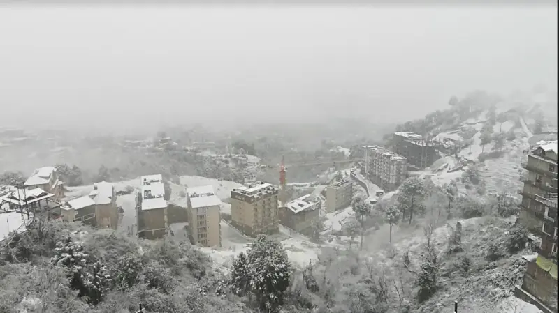 Chester Hills Kasauli, Solan