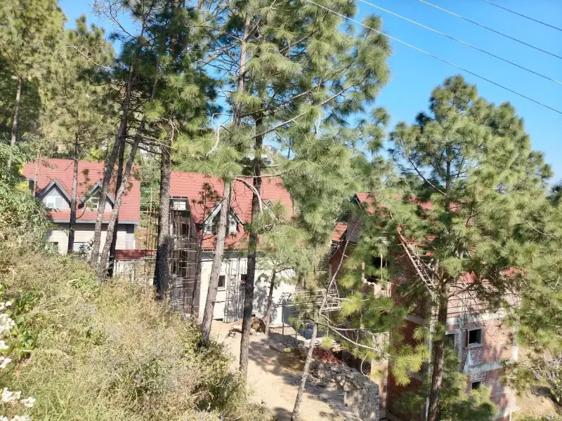 Dochi, Kasauli, H P