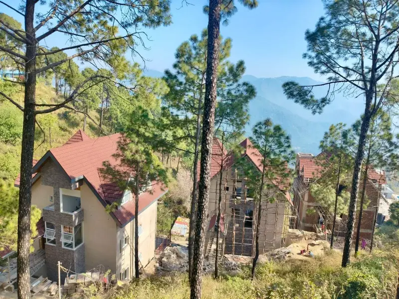 Dochi, Kasauli, H P