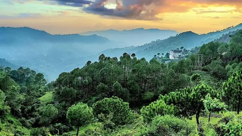 Hills Kasauli