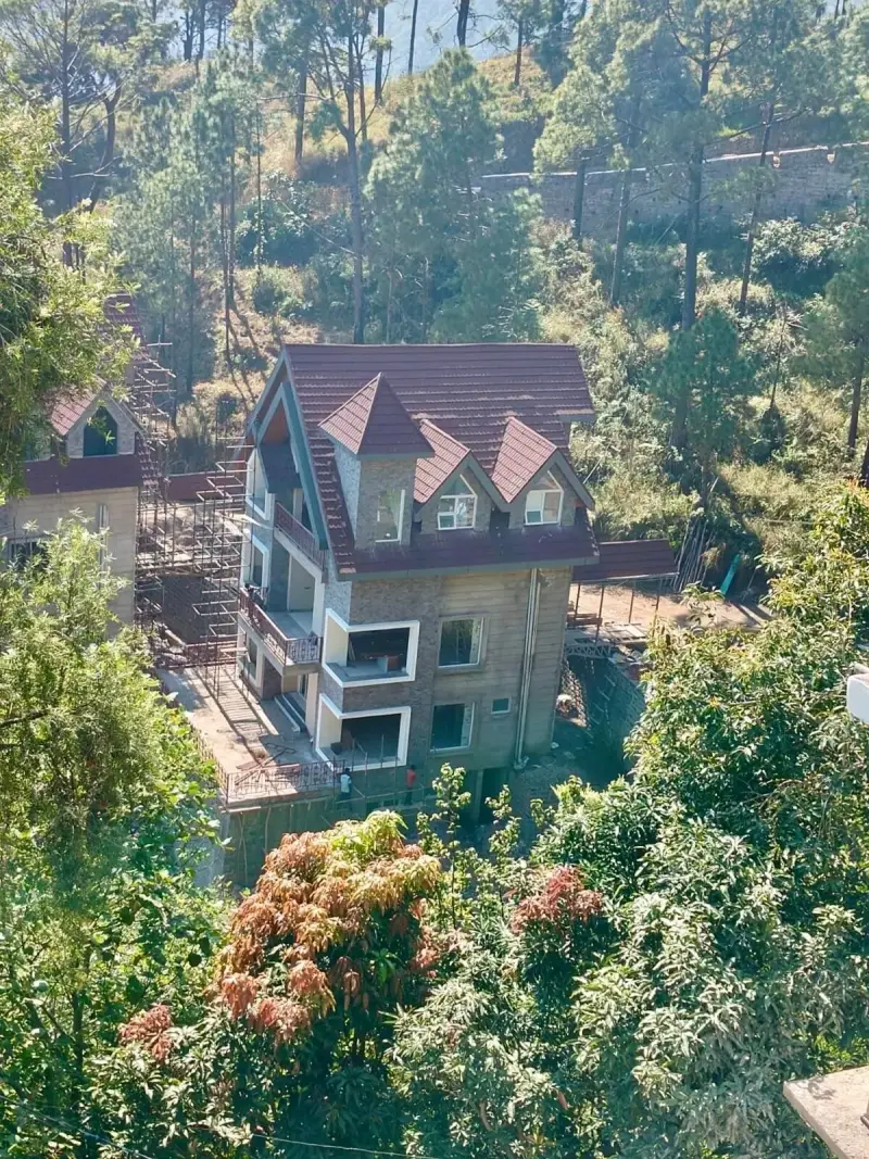 Dochi, Kasauli, H P