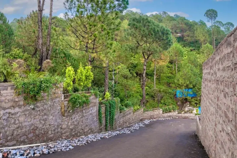 Hills Kasauli