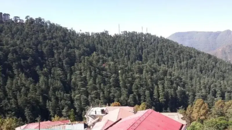 Bharari, Shimla, H P