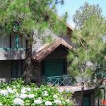 Mashobra, Kasauli, Solan, H P