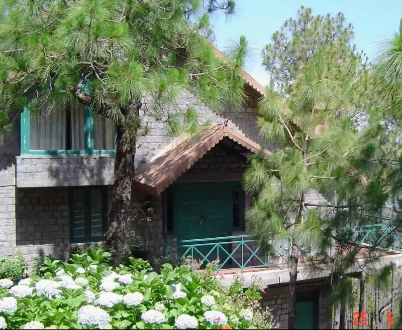 Mashobra, Kasauli, Solan, H P