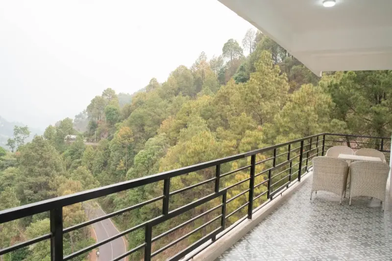 Kasauli Pine Valley