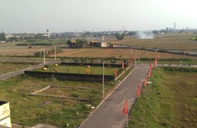 Lodestone Developers Rose Avenue Dera Bassi Punjab: Best Residential Plots in Mohali | Affordable Housing Projects