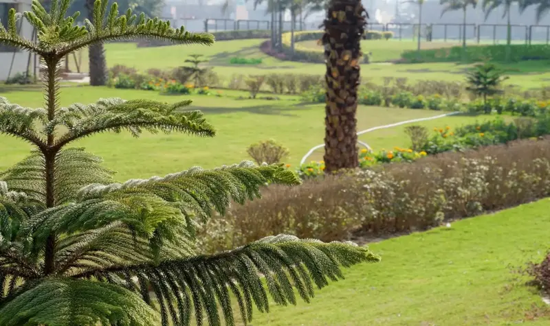 Royale Gardens Premium Zirakpur: Luxury Villas, Plots & Apartments in Chandigarh Region
