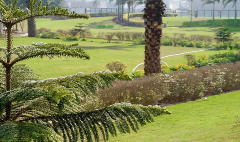 Royale Waterfront Zirakpur: Best Residential Projects in Zirakpur | Luxury Villas & Apartments Near Aerocity Mohali