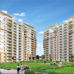 Shree Green Space Shimlipur Panchkula: Affordable Residential Apartments | Best Real Estate Projects in Panchkula