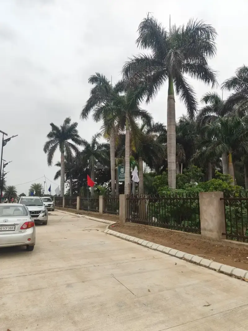 Unnati Palm Valley Sector 12A Raili Panchkula: Premium Residential Plots in Panchkula Real Estate Projects