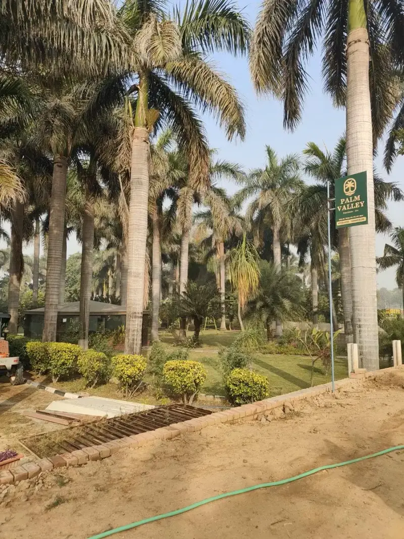 Unnati Palm Valley Sector 12A Raili Panchkula: Premium Residential Plots in Panchkula Real Estate Projects