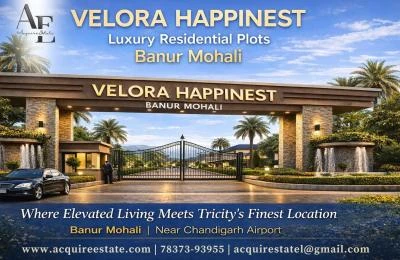 Luxury Residential Plots in Banur Mohali | Gated Community Living at Velora Happinest